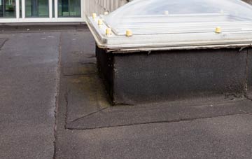 disadvantages of Newark flat roofs