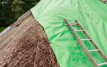 maintaining Newark thatch
