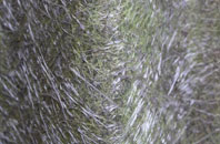 Newark fibreglass roof work