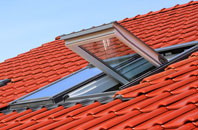 Newark roof window